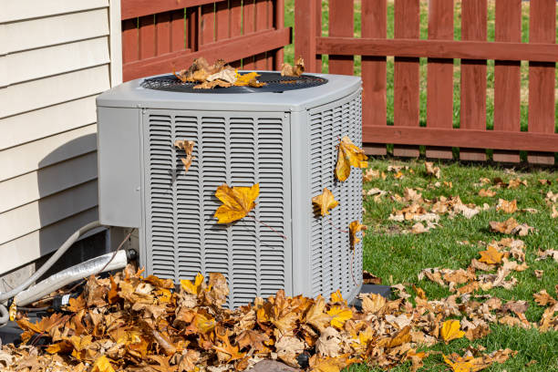 Best HVAC Maintenance Near Me  in Ddleville, MI